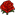 Rose Rose