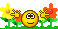 *blumenwiese* *blumenwiese*